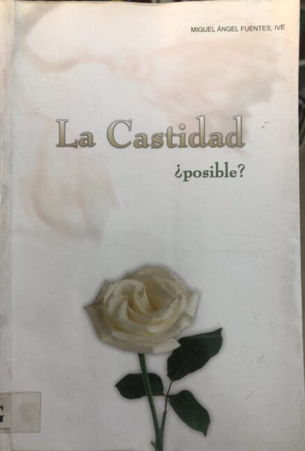 La castidad ¿posible?