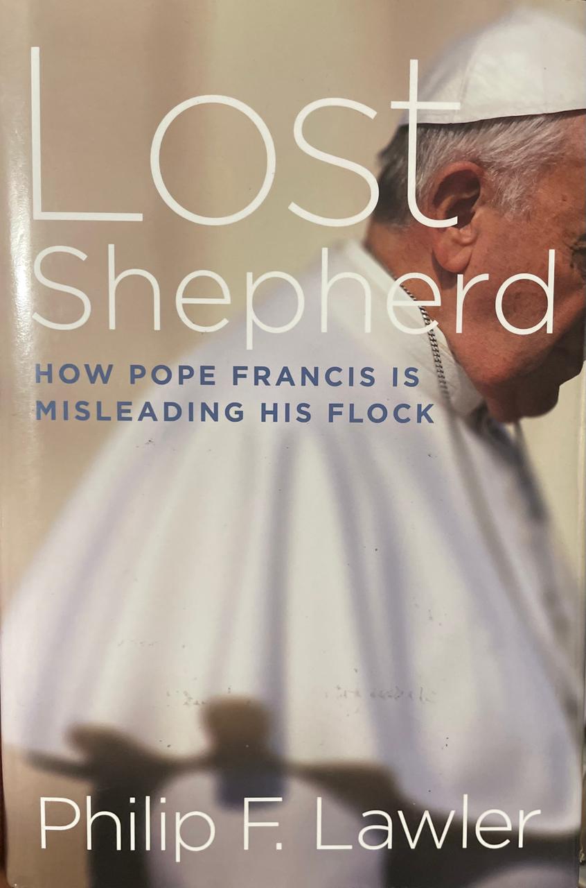 Lost Lost Shepherd. How Pope Francis is misleading. - Imagem 1