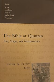 The Bible at Qumran. Text, Shape, and Interpretation.