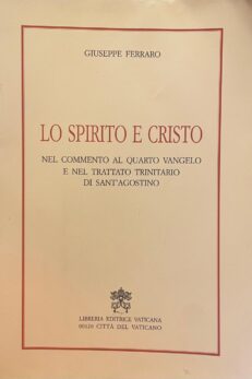 Lo Spirito e Cristo nel commento al Quarto Vangelo e nel Trattato Trinitario di Sant'agostino
