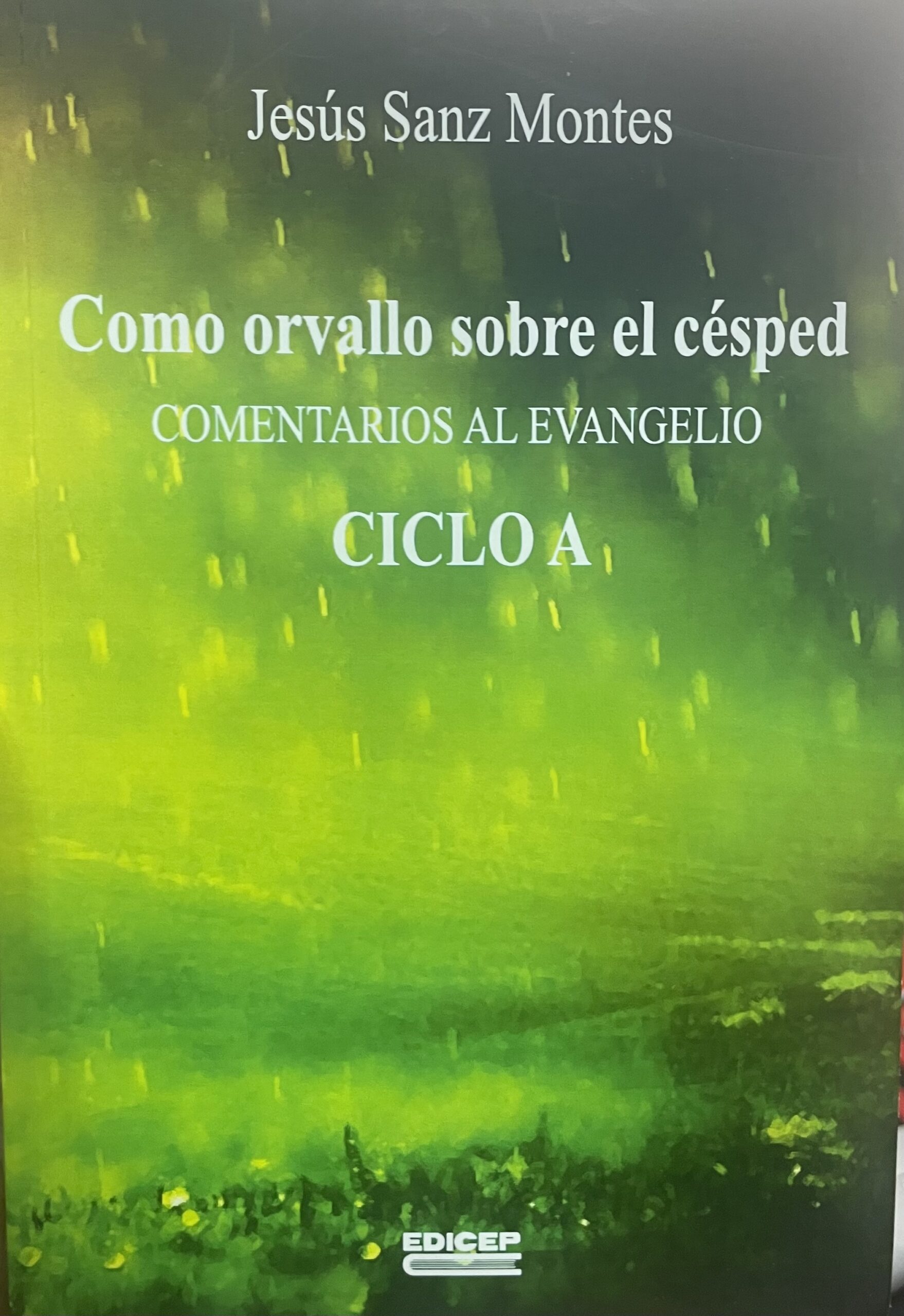 IMG_6141 Como orvallo sobre el césped. Comentarios al Evangelio. CICLO A. - Imagem 1
