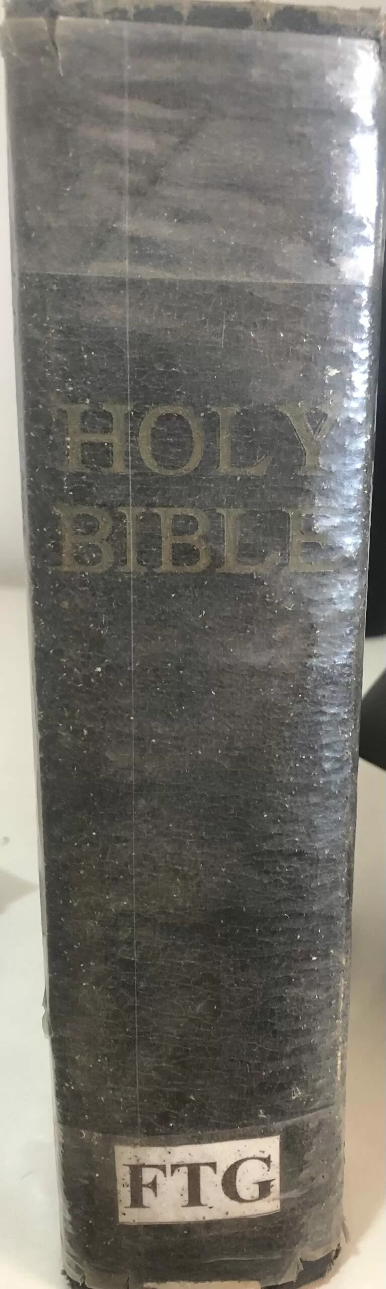 Holy Bible