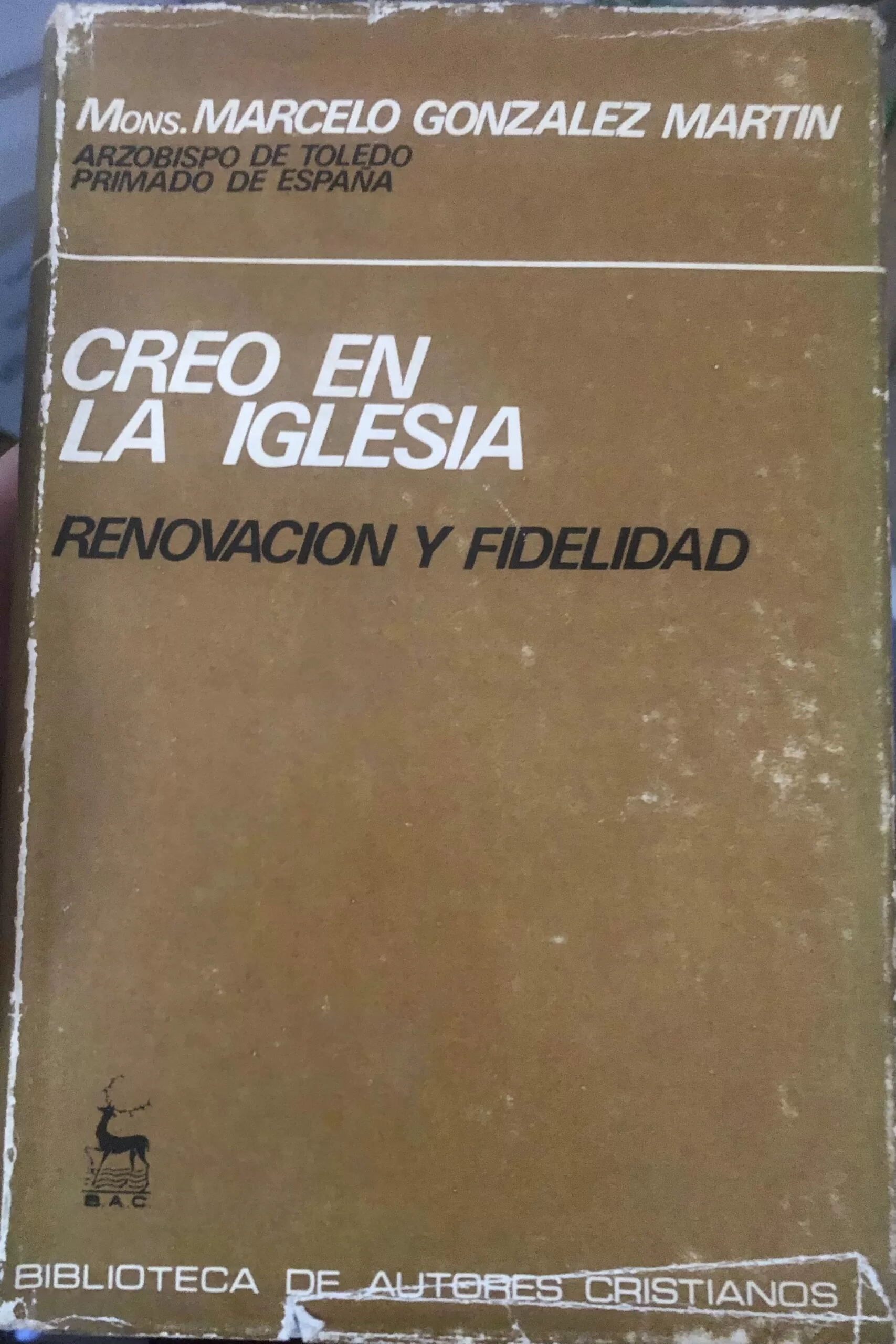 Creo en la Iglesia. Renovación y Fidelidad.